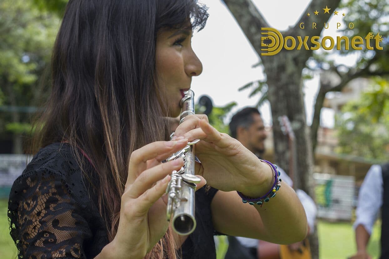 Grupo Doxsonett - instrumentistas